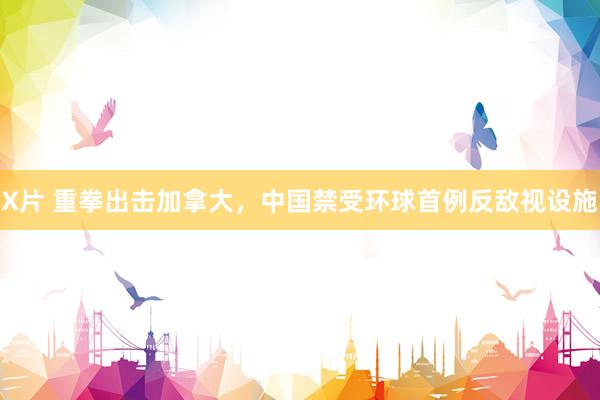 X片 重拳出击加拿大，中国禁受环球首例反敌视设施