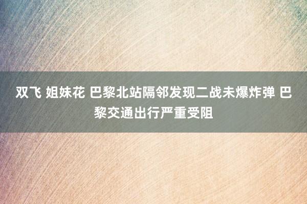 双飞 姐妹花 巴黎北站隔邻发现二战未爆炸弹 巴黎交通出行严重受阻