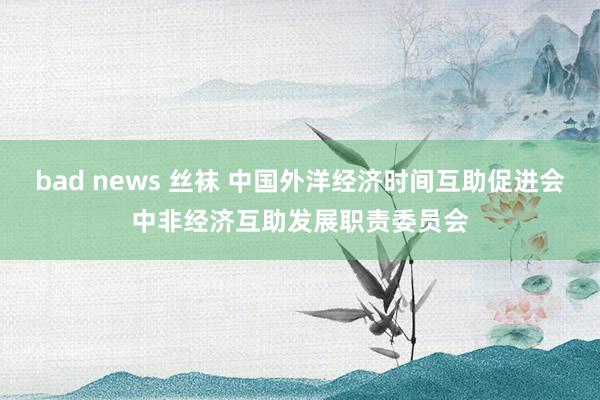bad news 丝袜 中国外洋经济时间互助促进会中非经济互助发展职责委员会