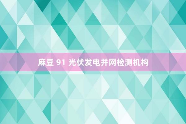 麻豆 91 光伏发电并网检测机构