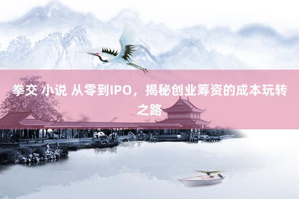 拳交 小说 从零到IPO，揭秘创业筹资的成本玩转之路