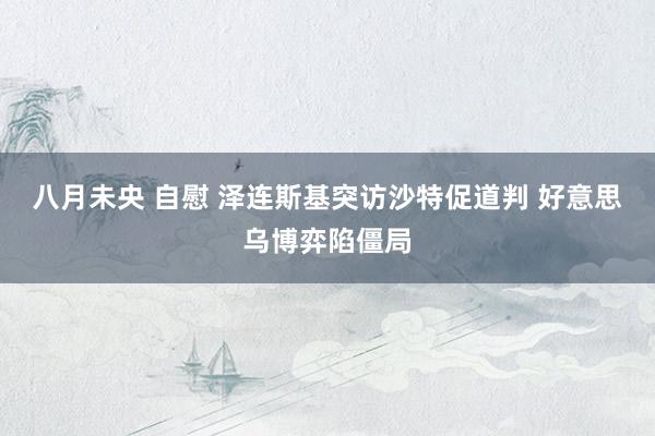 八月未央 自慰 泽连斯基突访沙特促道判 好意思乌博弈陷僵局
