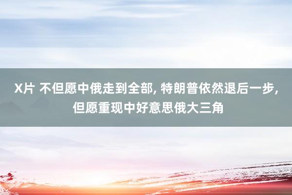 X片 不但愿中俄走到全部， 特朗普依然退后一步， 但愿重现中好意思俄大三角