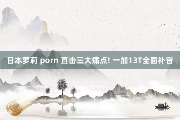 日本萝莉 porn 直击三大痛点! 一加13T全面补皆